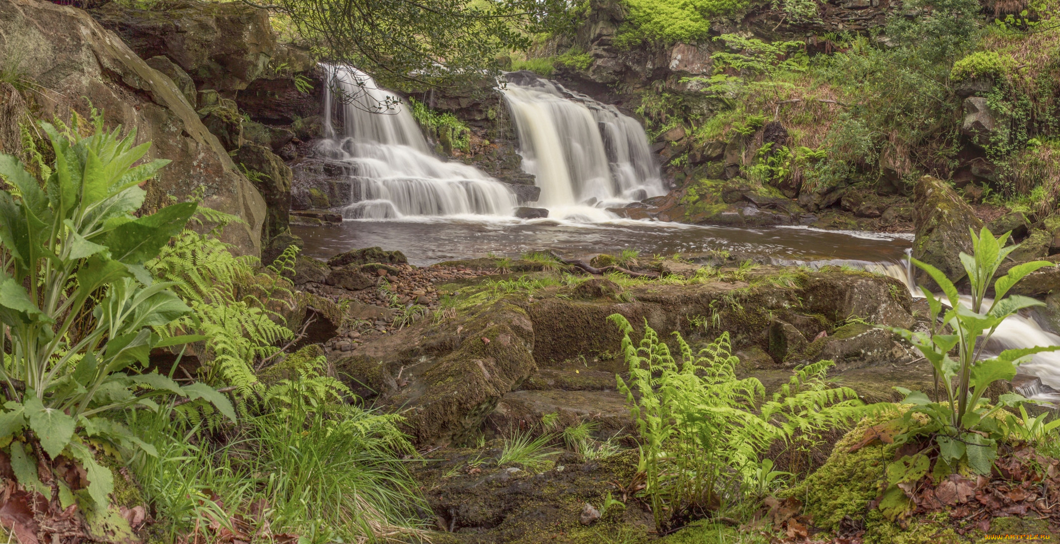 water, ark, foss, north, york, moors, england, , , , 